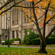 Explore All Your Education Options: Types of Colleges