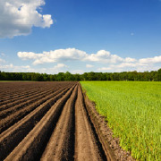Agriculture Colleges Agriculture Colleges