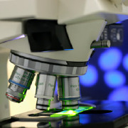 Entomology Colleges