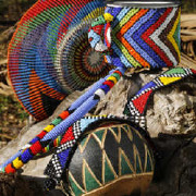 Latin American Studies Colleges