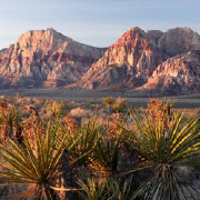 Nevada Colleges