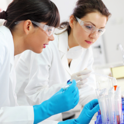 Chemists Chemists